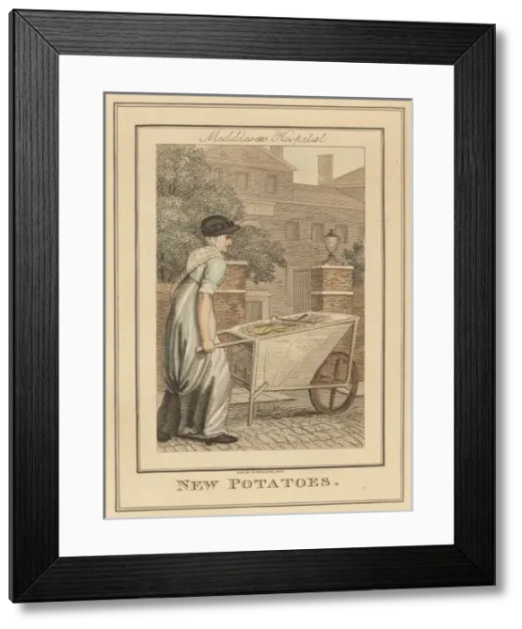 Framed Print : Potato Trader Framed Print : Potato Trader