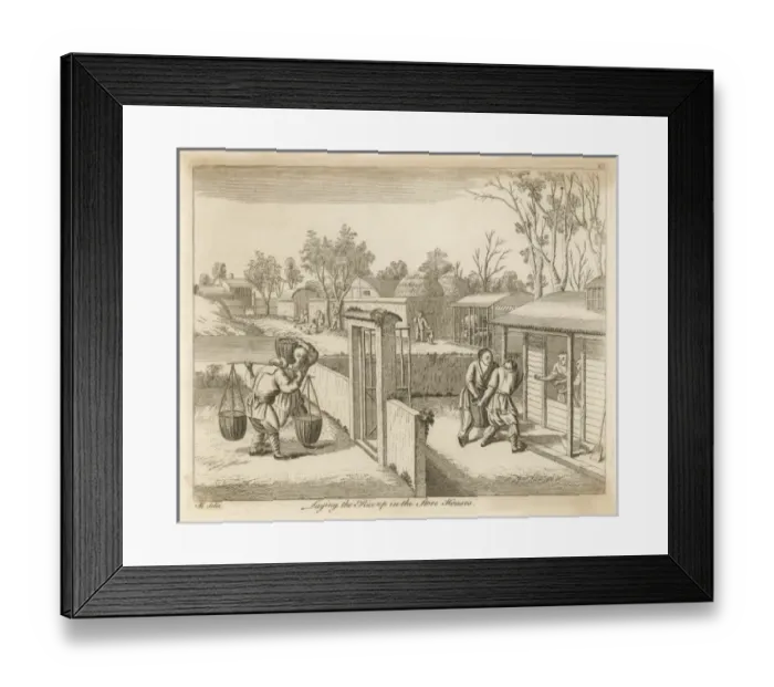 Framed Print : Rice in China - 11 Framed Print : Rice in China - 11