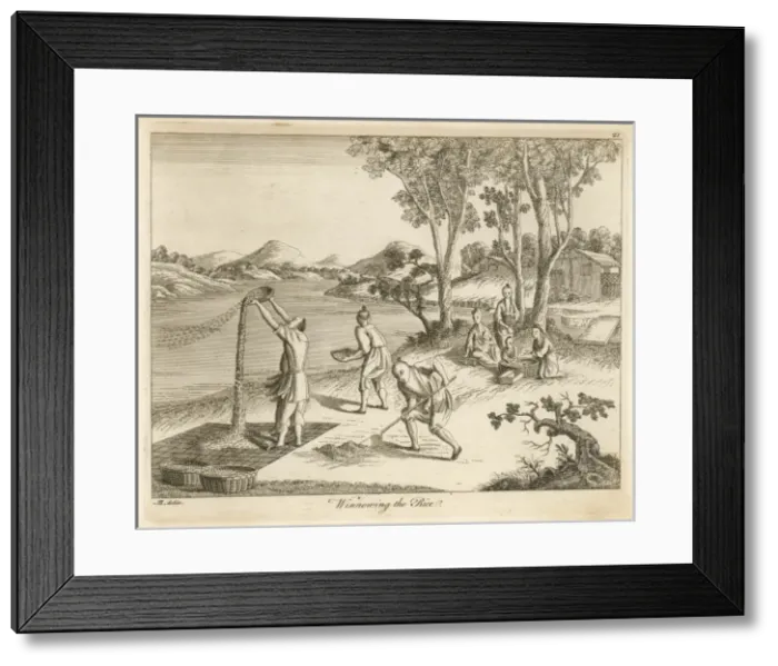 Framed Print : Rice in China - 9 Framed Print : Rice in China - 9