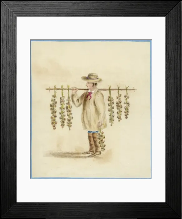 Framed Print : French Garlic Seller Framed Print : French Garlic Seller