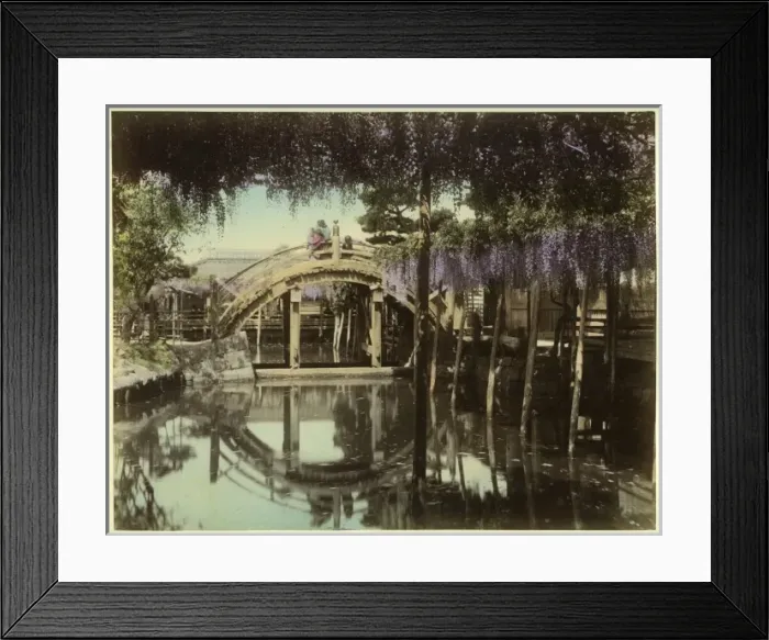 Framed Print : Wisteria at Kameido, Tokyo Framed Print : Wisteria at Kameido, Tokyo