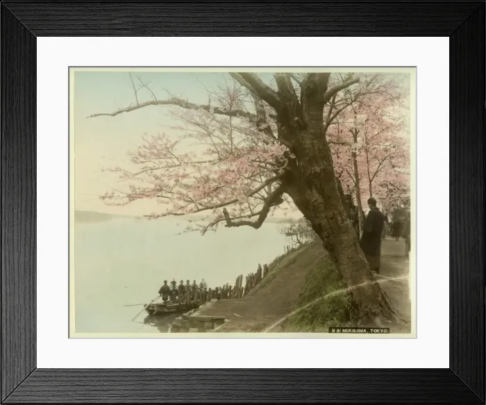 Framed Print : Mukojima, Tokyo Framed Print : Mukojima, Tokyo