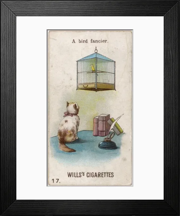 Framed Print : Cat Watches Caged Bird Framed Print : Cat Watches Caged Bird