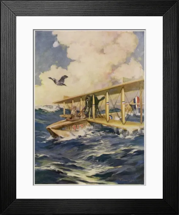 Framed Print : Pigeon Used in Crash Framed Print : Pigeon Used in Crash