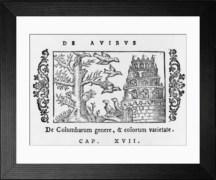 Framed Print : Dove Cote 1555 Framed Print : Dove Cote 1555