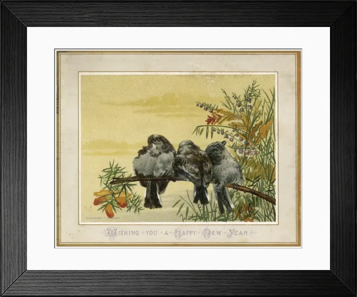 Framed Print : Birds on a Bough Framed Print : Birds on a Bough