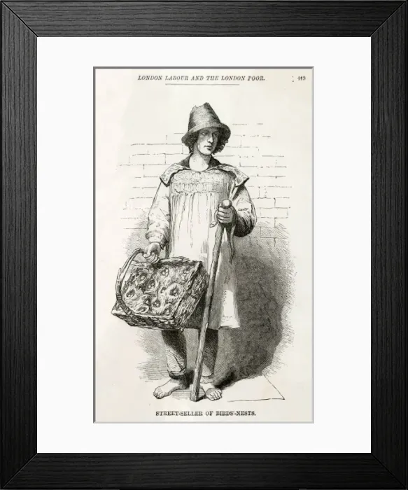 Framed Print : Birds-Nests Seller Framed Print : Birds-Nests Seller