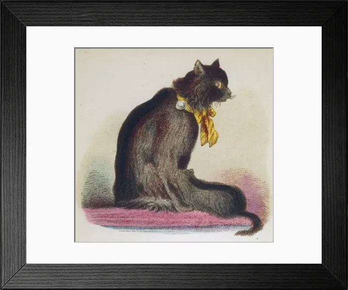 Framed Print : Angora Cat 1870S Framed Print : Angora Cat 1870S