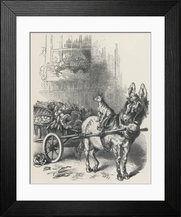 Framed Print : Donkey / Cart / Dog 1896 Framed Print : Donkey / Cart / Dog 1896