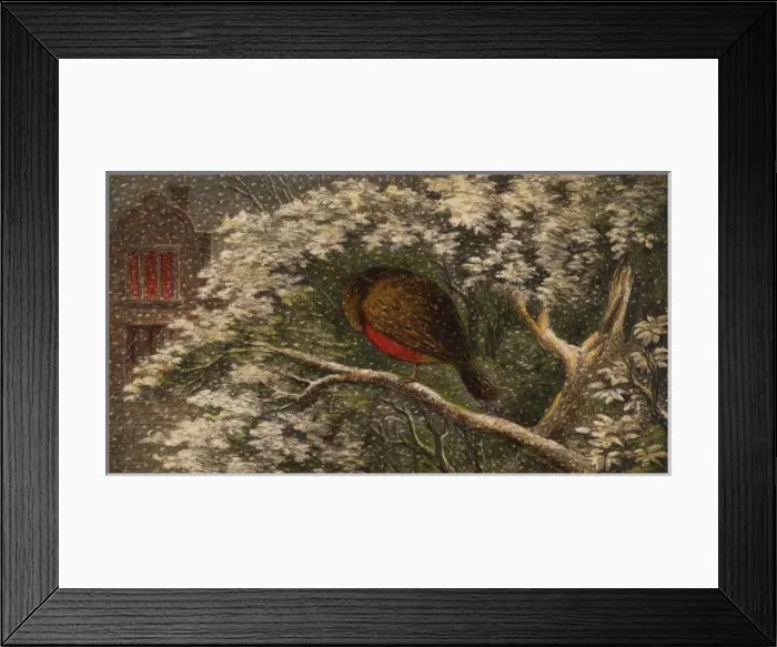 Framed Print : Robins Head under Wing Framed Print : Robins Head under Wing