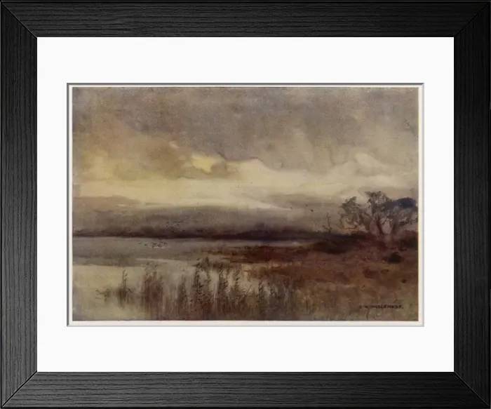 Framed Print : Hickling Broad Framed Print : Hickling Broad