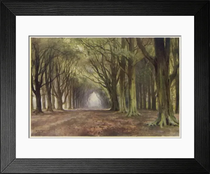 Framed Print : Notts. Scenery Framed Print : Notts. Scenery