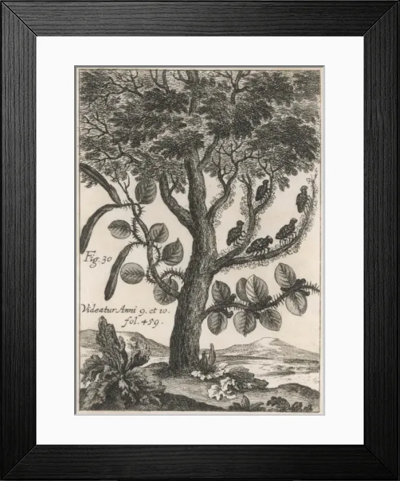 Framed Print : Manna Explained Framed Print : Manna Explained