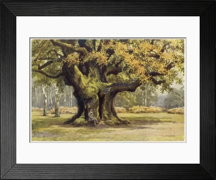 Framed Print : Notts. Scenery Framed Print : Notts. Scenery