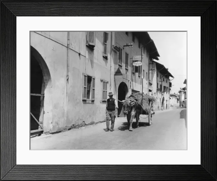 Framed Print : Ox-Drawn Cart in Street Framed Print : Ox-Drawn Cart in Street