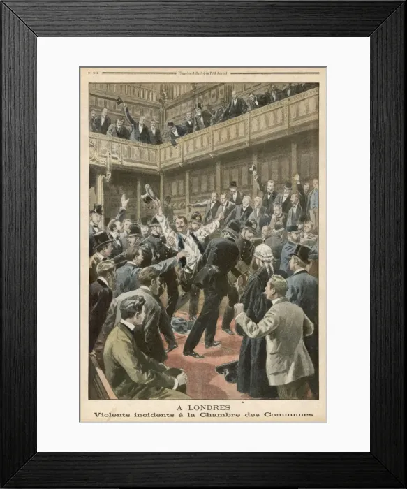 Framed Print : Disturbance in Commons Framed Print : Disturbance in Commons