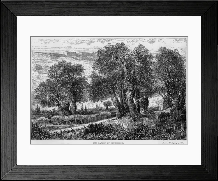 Framed Print : Israel Jerusalem Framed Print : Israel Jerusalem