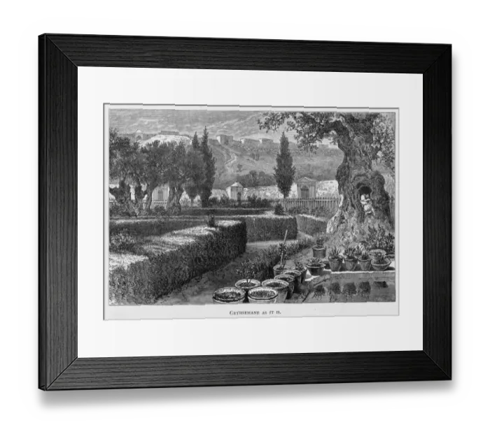 Framed Print : Israel Jerusalem Framed Print : Israel Jerusalem
