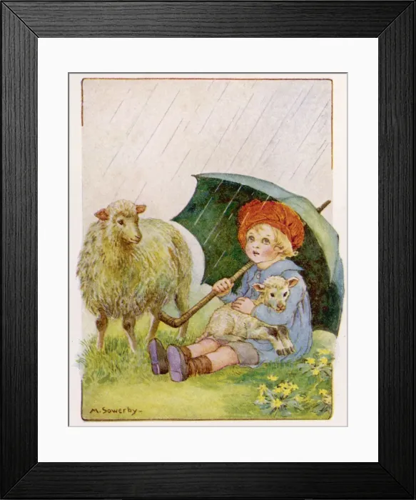 Framed Print : Toddles put up his umbrella Framed Print : Toddles put up his umbrella