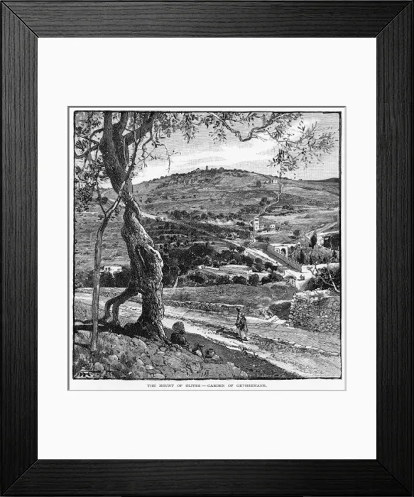Framed Print : Israel Jerusalem Framed Print : Israel Jerusalem