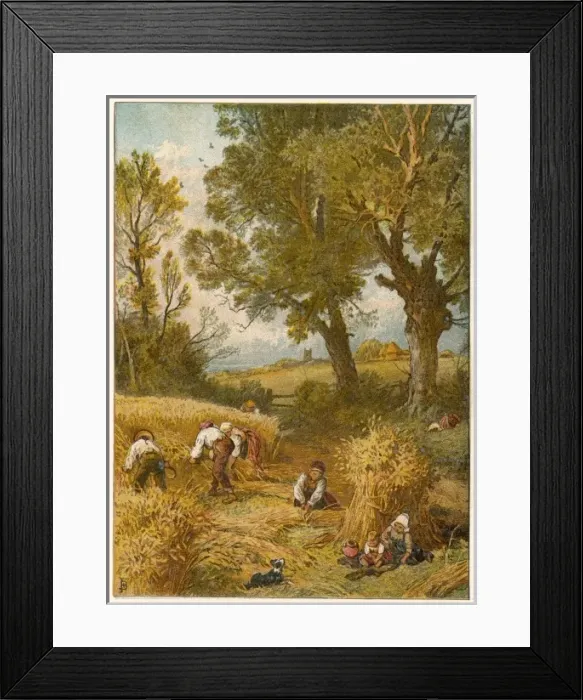 Framed Print : Autumn  /  Harvest (Foster)