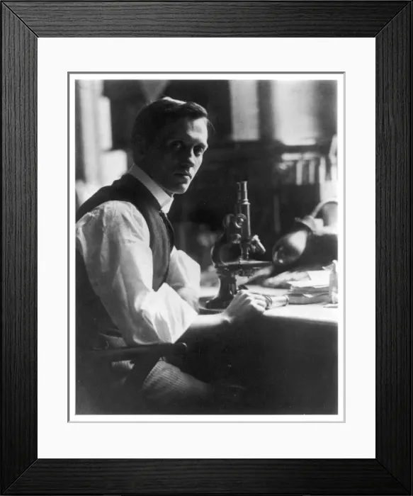 Framed Print : Fleming / Photo / Microscope Framed Print : Fleming / Photo / Microscope