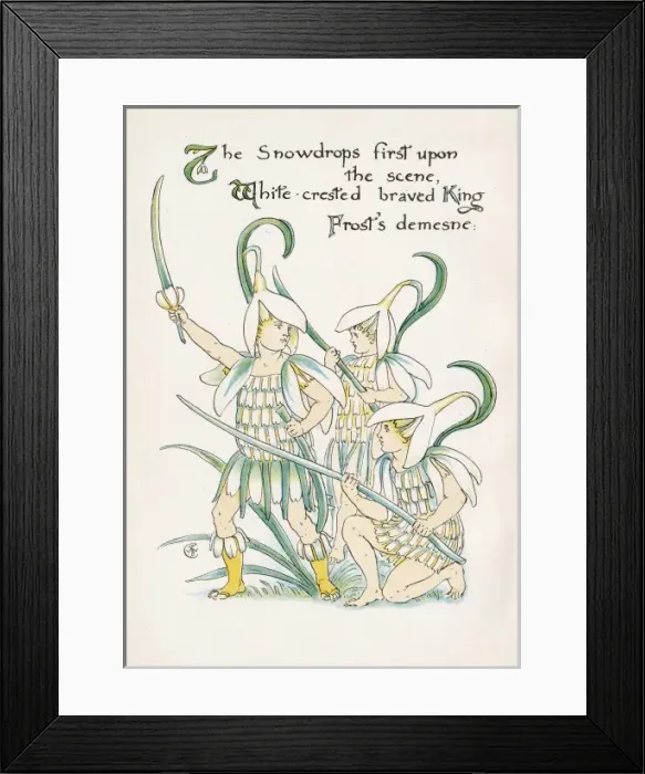 Framed Print : Plants / Galanthus Framed Print : Plants / Galanthus
