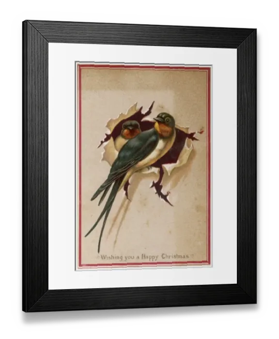 Framed Print : Two Swallows Framed Print : Two Swallows