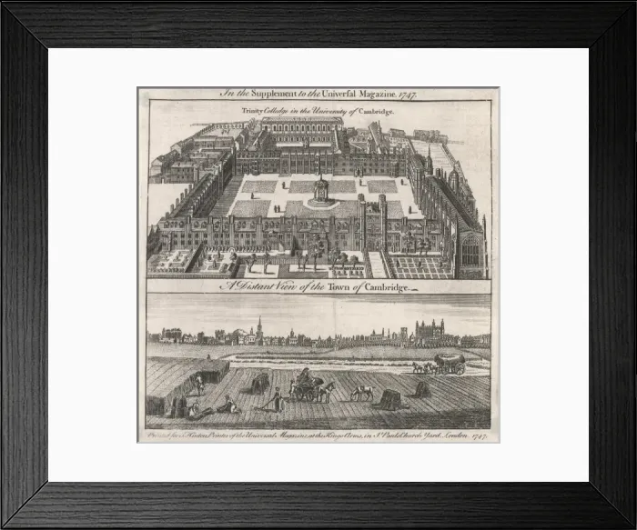 Framed Print : Trinity Coll. / Cambridge Framed Print : Trinity Coll. / Cambridge