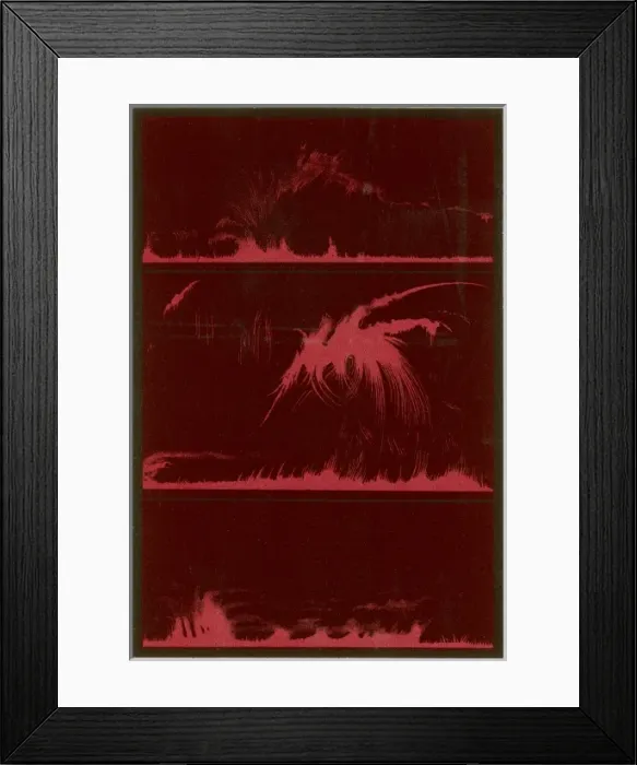 Framed Print : Solar Protuberances Framed Print : Solar Protuberances