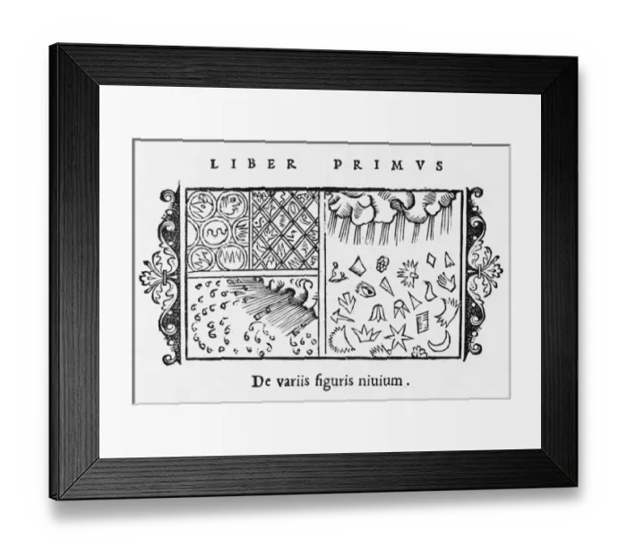 Framed Print : Different Kinds of Snow Framed Print : Different Kinds of Snow