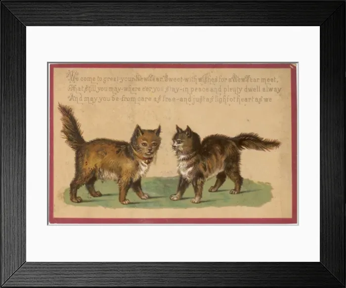 Framed Print : Long Haired Kittens Framed Print : Long Haired Kittens