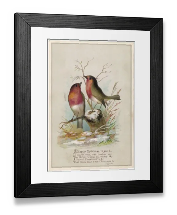 Framed Print : TWO ROBINS Framed Print : TWO ROBINS