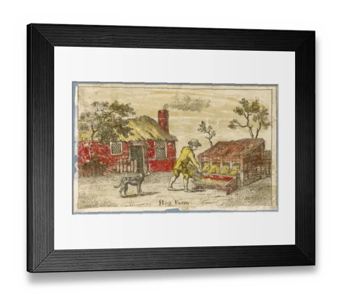 Framed Print : PIG FARM. The hog farmers dog watches while his master feeds the pigs in Framed Print : PIG FARM. The hog farmers dog watches while his master feeds the pigs in