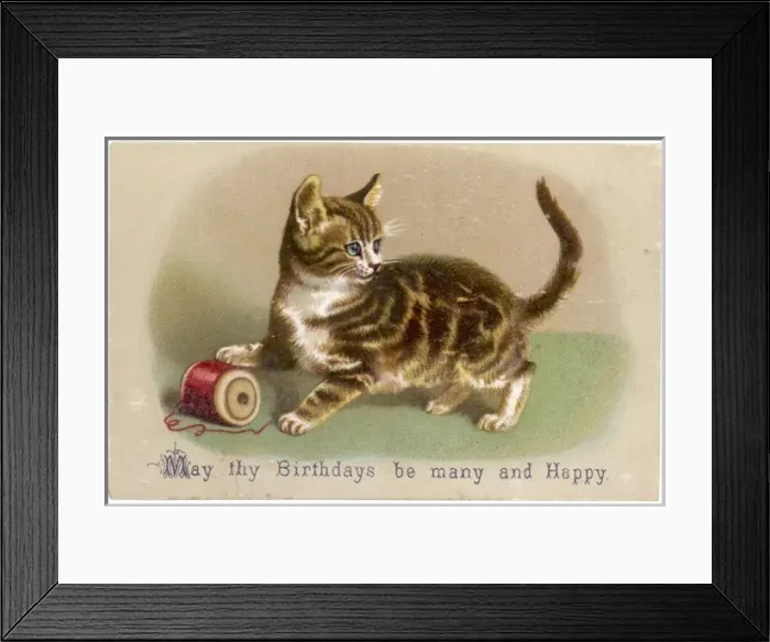 Framed Print : Tabby Kitten with Reel Framed Print : Tabby Kitten with Reel