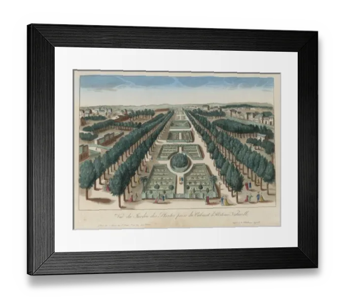 Framed Print : Jardin Des Plantes Framed Print : Jardin Des Plantes