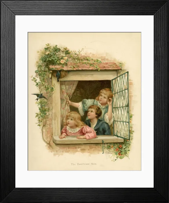 Framed Print : Admiting Swallow Nest Framed Print : Admiting Swallow Nest