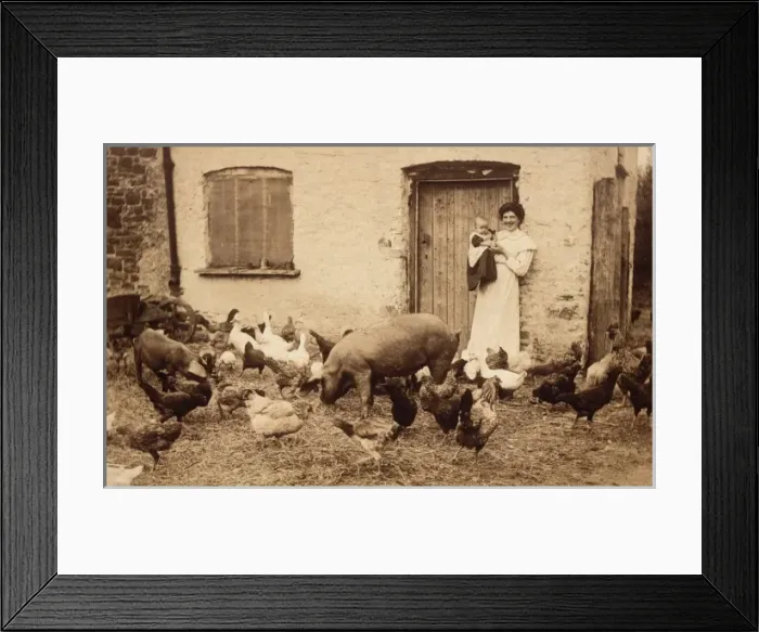 Framed Print : Devonshire Farmers Wife Framed Print : Devonshire Farmers Wife