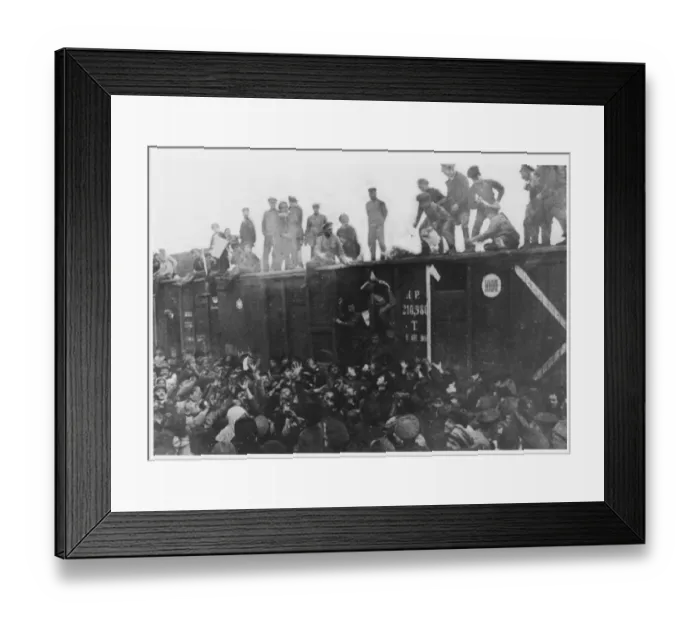 Framed Print : Czech Leaflets Framed Print : Czech Leaflets
