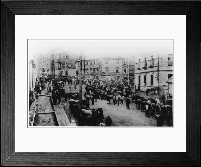 Framed Print : Czechs Aid Kerensky Framed Print : Czechs Aid Kerensky