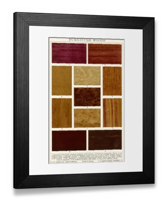 Framed Print : Furniture Woods Framed Print : Furniture Woods