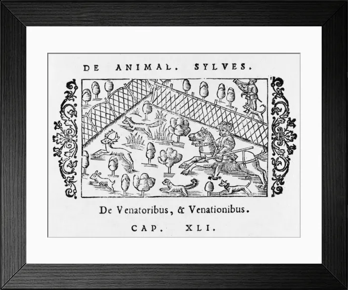 Framed Print : Hunting in Enclosure Framed Print : Hunting in Enclosure