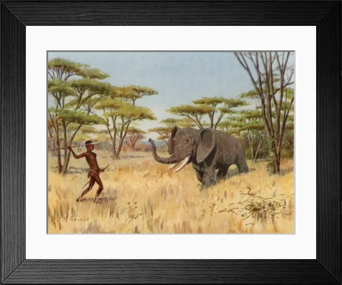 Framed Print : Elephant Hunt Africa Framed Print : Elephant Hunt Africa