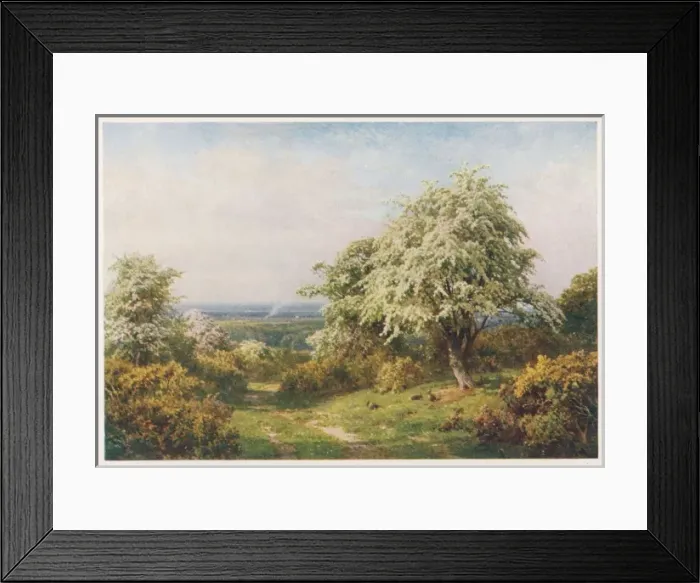 Framed Print : Trees in Blossom 1906 Framed Print : Trees in Blossom 1906