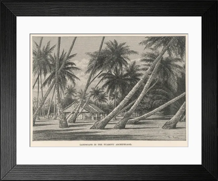 Framed Print : Trees Affected by Winds Framed Print : Trees Affected by Winds