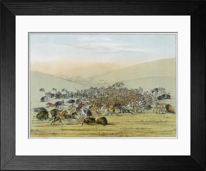 Framed Print : Minataree Buffalo Hunt Framed Print : Minataree Buffalo Hunt