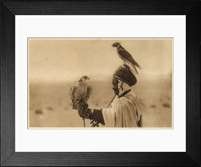 Framed Print : Hawking in Algeria Framed Print : Hawking in Algeria