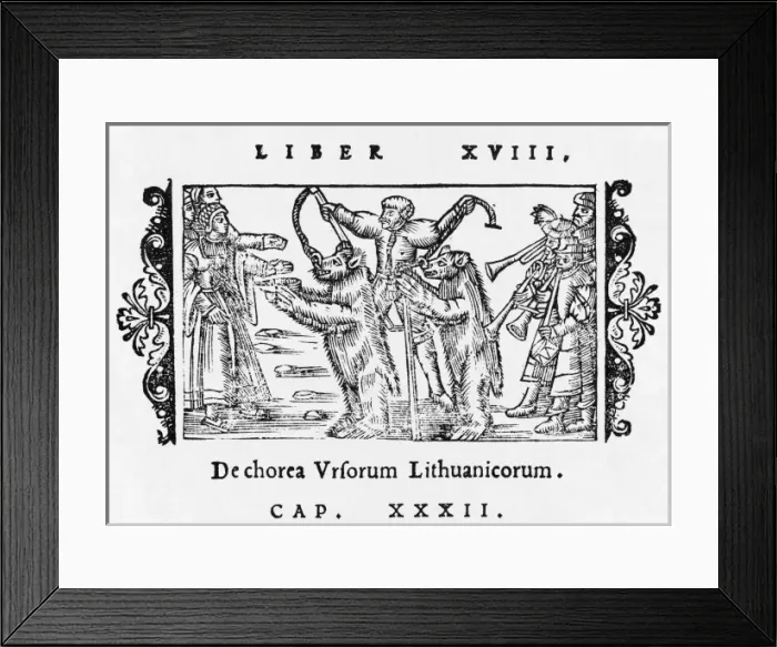 Framed Print : Lithuanian Dance Bears Framed Print : Lithuanian Dance Bears