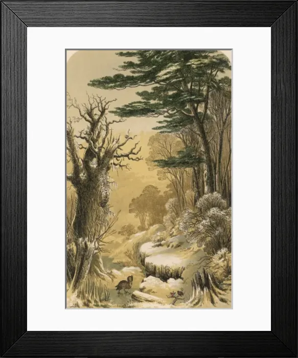 Framed Print : Woodlands in the Snow Framed Print : Woodlands in the Snow