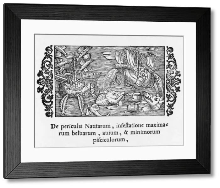 Framed Print : Perils of the Sea Framed Print : Perils of the Sea